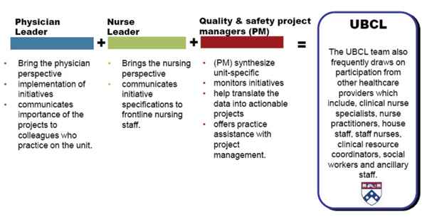 Figure 1. Unit-Based Clinical Leadership (UBCL) Model.