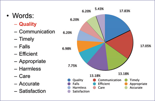 Figure 2: Top 10 Words Used to Define Patient Safety by Physician Leaders
