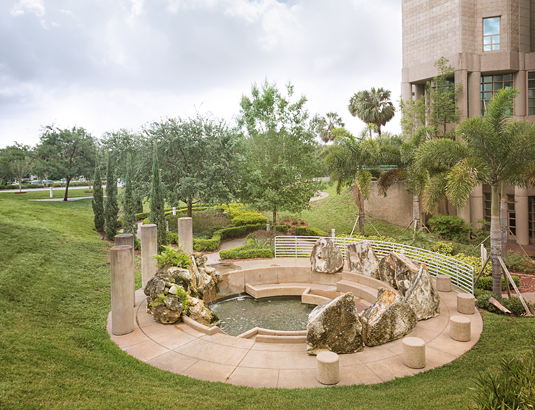 Figure 1. The Reflecting Pond at The H. Lee Moffitt Cancer Center and Research Institute on the campus of the University of South Florida. Photo by Nicholas Gould