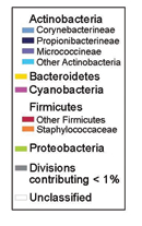 Figure 1. Depiction of the human body and bacteria that predominate; there are both tremendous similarities and differences among the bacterial species found at different sites.