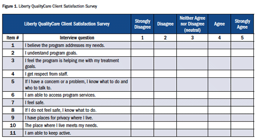 Client Satisfaction Surveys To Improve Outcome Management In Mental And 